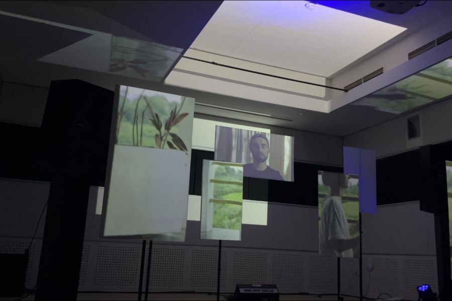 delulu is the solulu (2024)