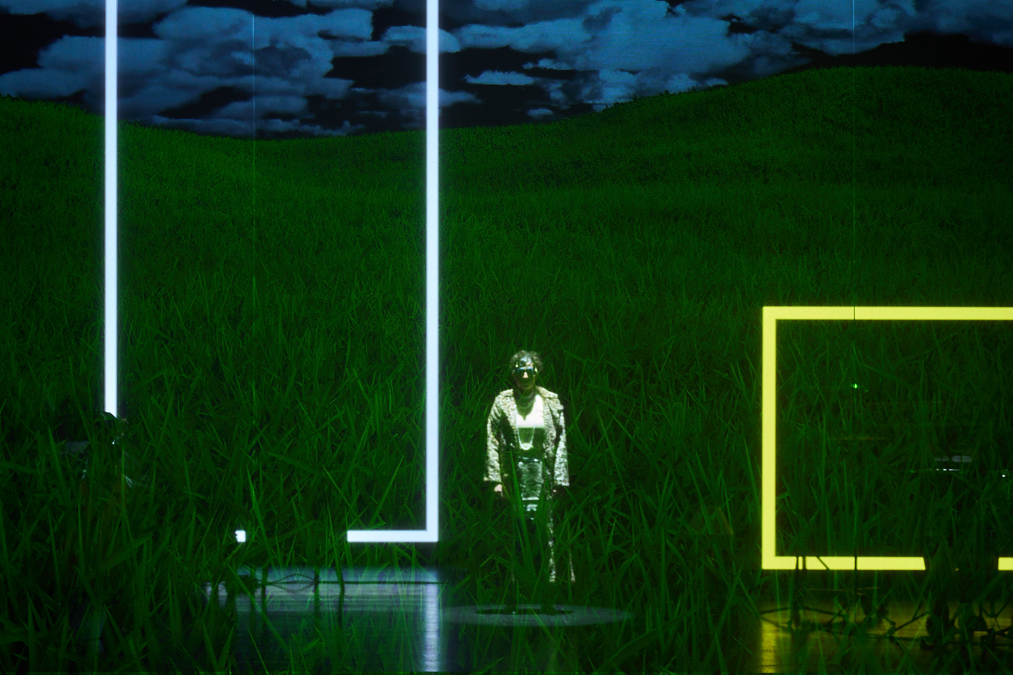the meadow (2026)