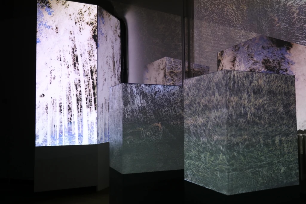 dissolving screens (2022)