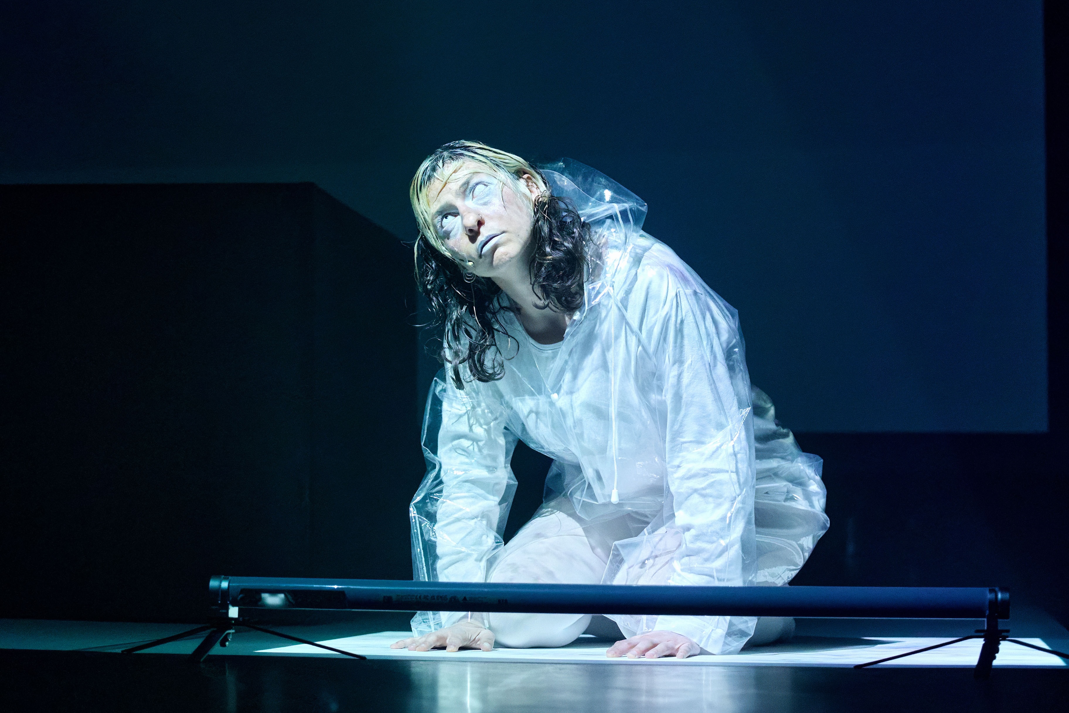 holy water (2024)